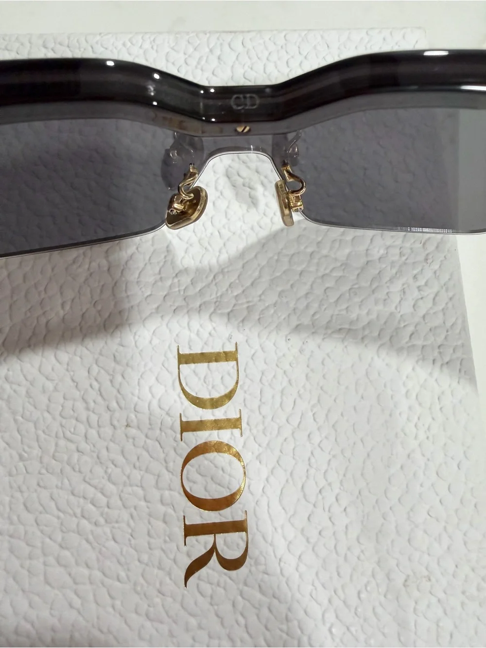 Dior modern shield